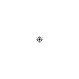 FEAGI logo