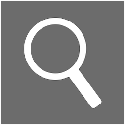 Details Icon